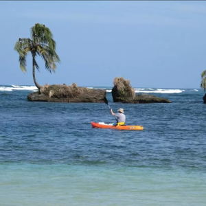 Aventura en el Caribe