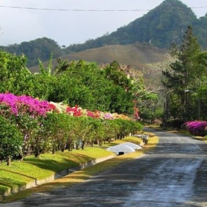 Excursión al Valle de Antón
